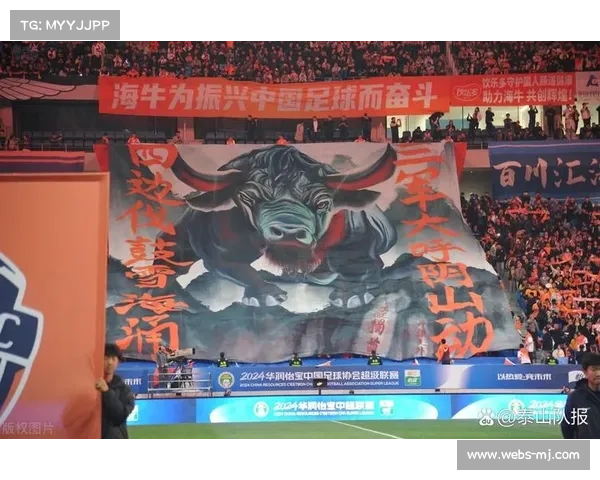 青岛海牛致敬退役功勋巨幅TIFO震撼亮相覆盖东看台全景 青岛海牛致敬退役功勋巨幅TIFO震撼亮相覆盖东看台全景
